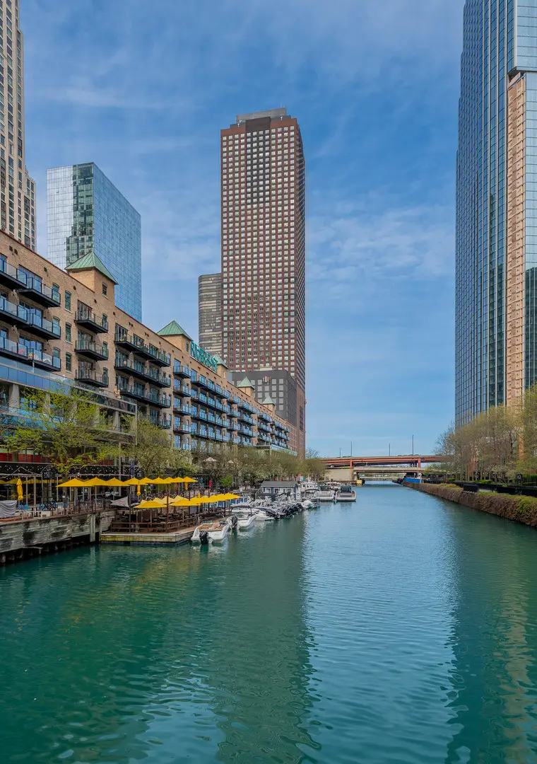 474 N Lake Shore Drive #2007, Chicago, IL 60611 - #1