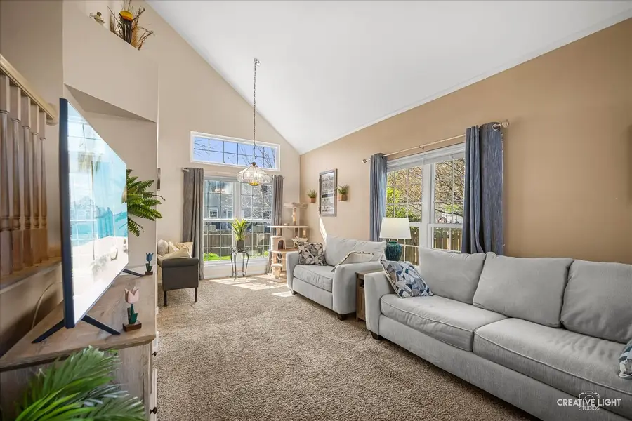 12 Middlefield Court, Lake In The Hills, IL 60156 - #3