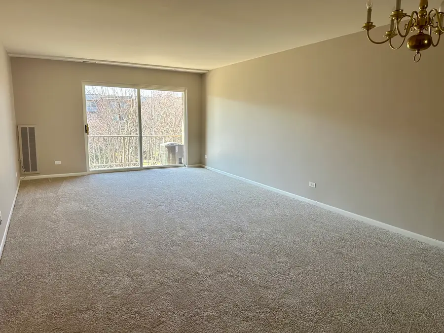 909 E Kenilworth Avenue #420, Palatine, IL 60074 - #2