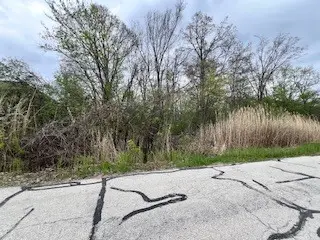 17W246 Red Oak Street, Bensenville, IL 60106 - #1