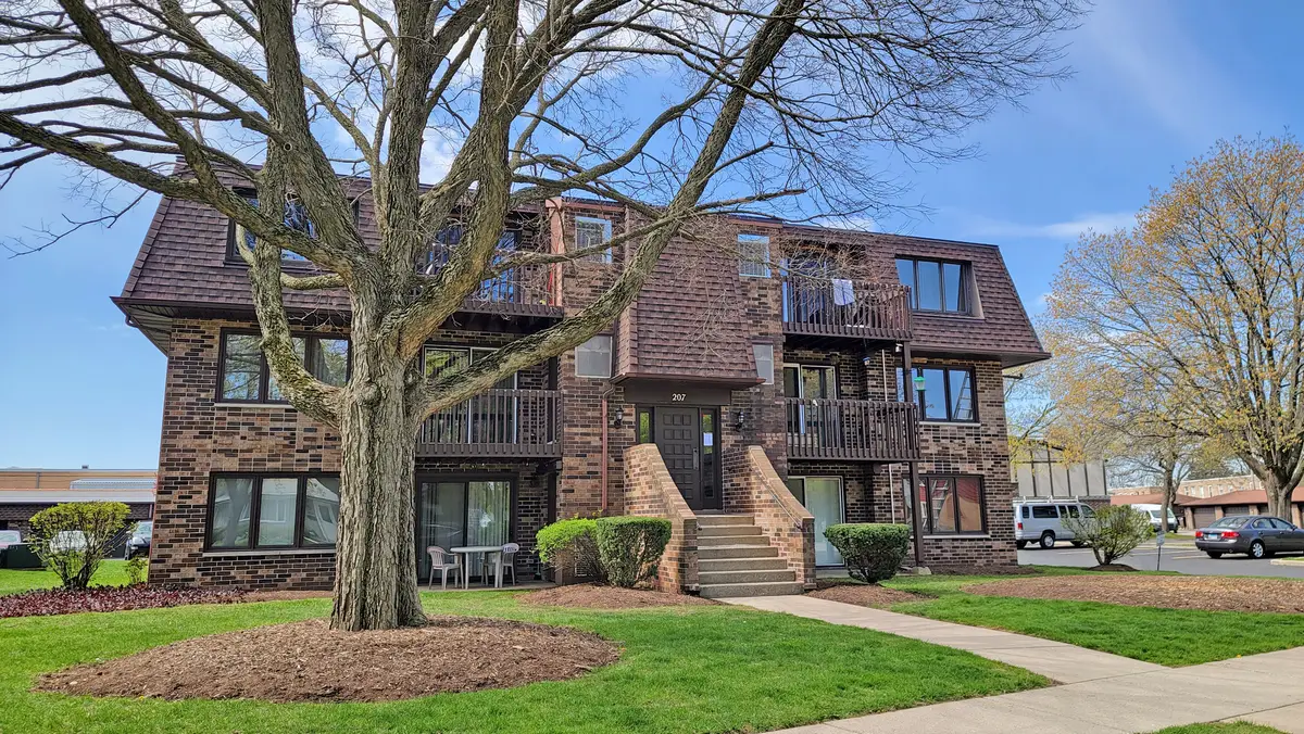 207 Uteg Street #201, Crystal Lake, IL 60014 - #1