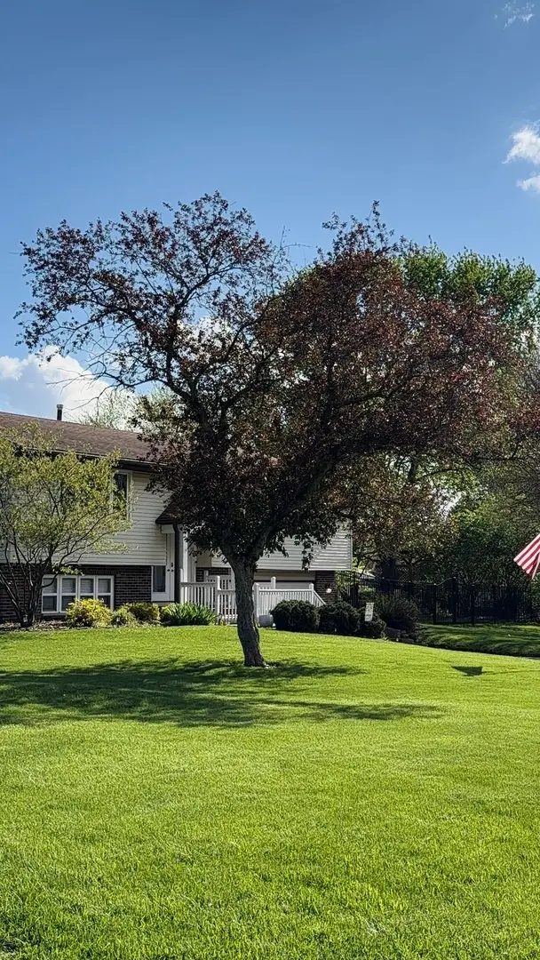 17249 W Rob Avenue, Elwood, IL 60421 - #2