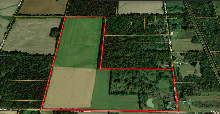 1132 S Jefferson Street, Kell, IL 62853 - #2