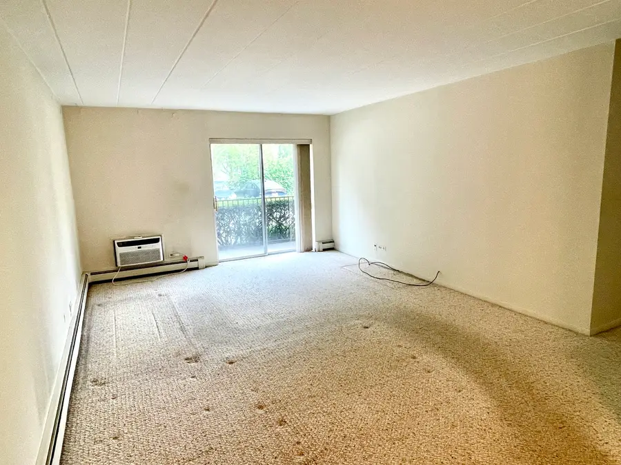 1052 Mill Street #110, Naperville, IL 60540 - #3