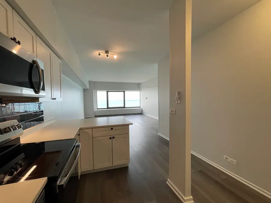 175 E Delaware Place #5004, Chicago, IL 60611 - #3