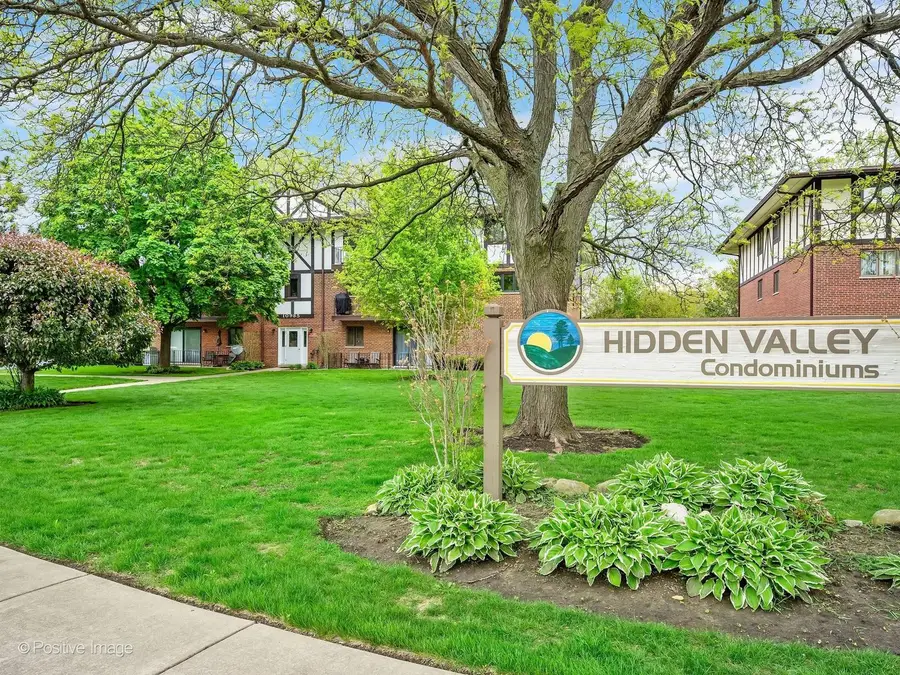 10985 S 84th Avenue #2B, Palos Hills, IL 60465 - #2