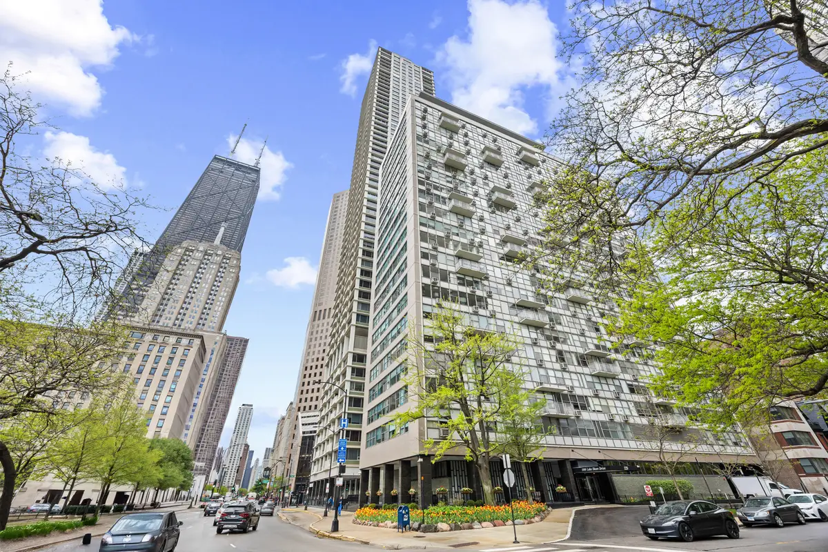 1000 N Lake Shore Drive #808, Chicago, IL 60611 - #1