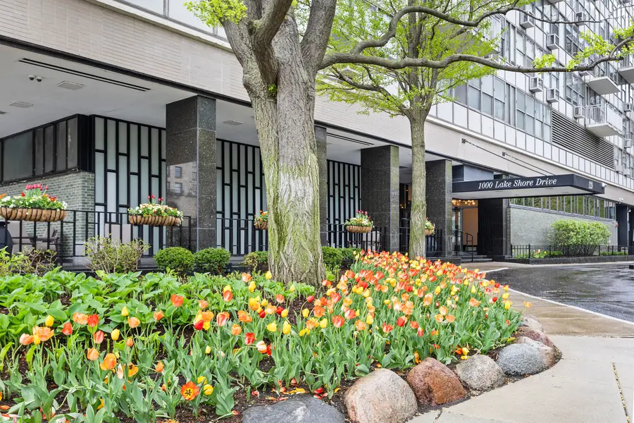 1000 N Lake Shore Drive #808, Chicago, IL 60611 - #2
