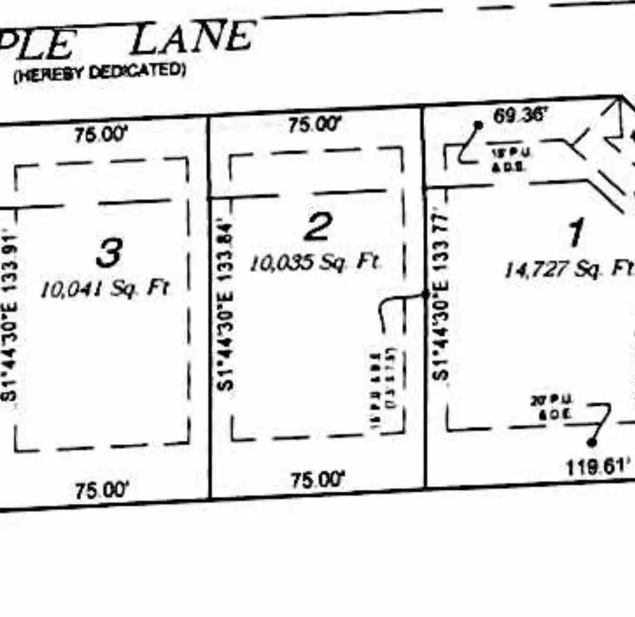 003 Maple Lane, Manhattan, IL 60442 - #2