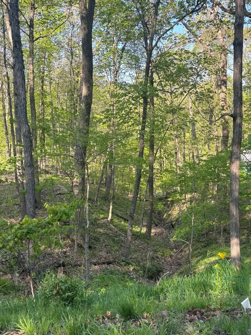 1829 Tanglewood Drive, Varna, IL 61375 - #3