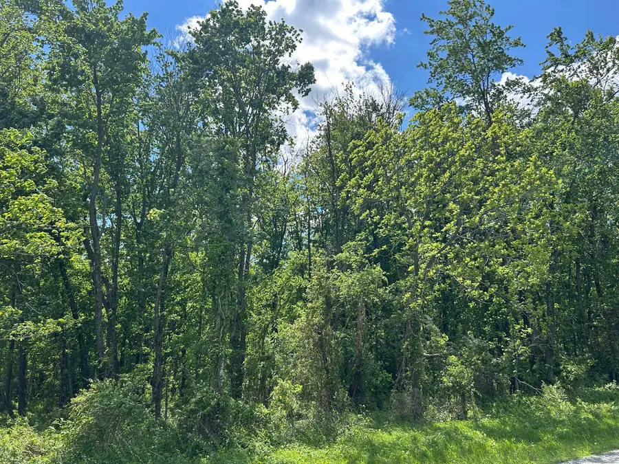 TBD Akin Blacktop, Benton, IL 62812 - #3