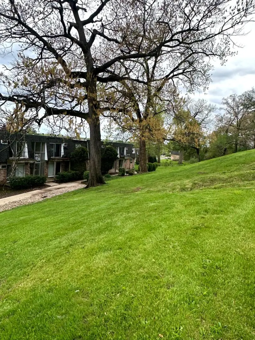 10152 S 84th Terrace #12309, Palos Hills, IL 60465 - #3