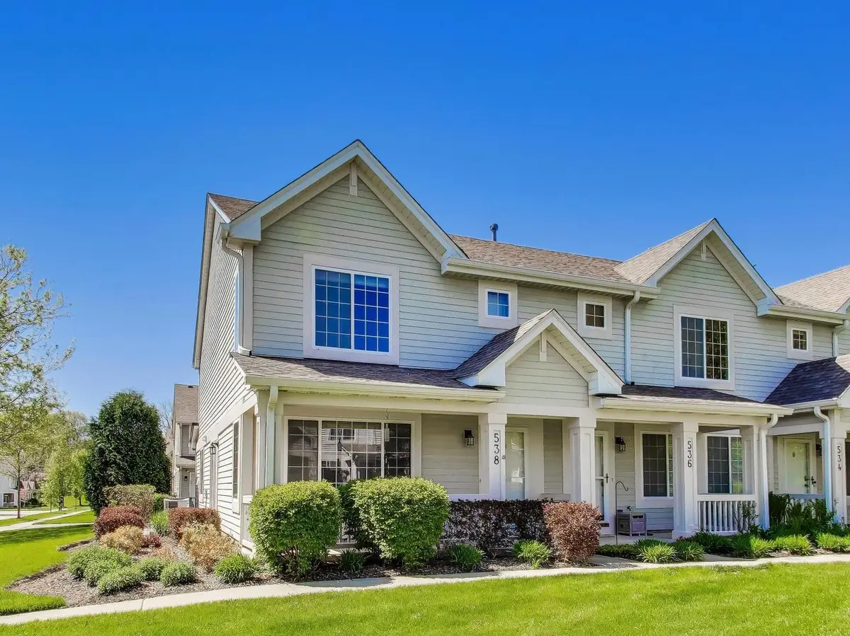 538 Blue Springs Drive, Fox Lake, IL 60020 - #1