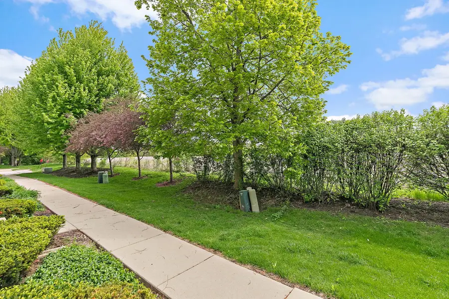 3339 Cameron Drive, Elgin, IL 60124 - #2