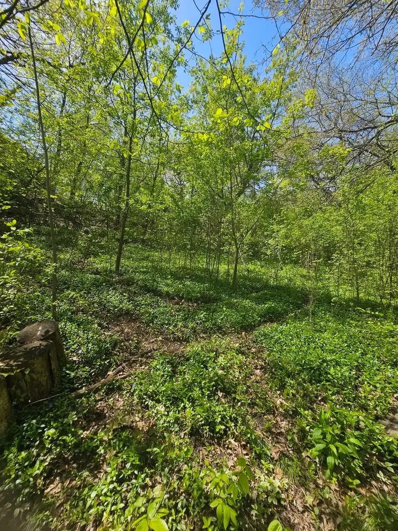 38581 N Hillandale Drive, Spring Grove, IL 60081 - #1