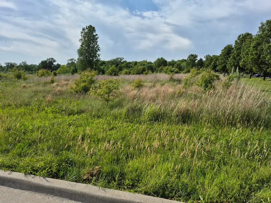 0000 Reed Station Parkway, Carbondale, IL 62901 - #2
