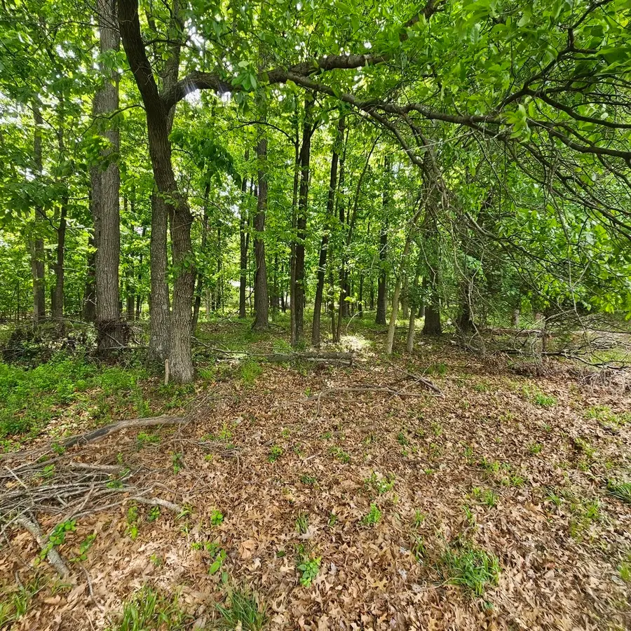 4147 Richview Road, Mount Vernon, IL 62864 - #3