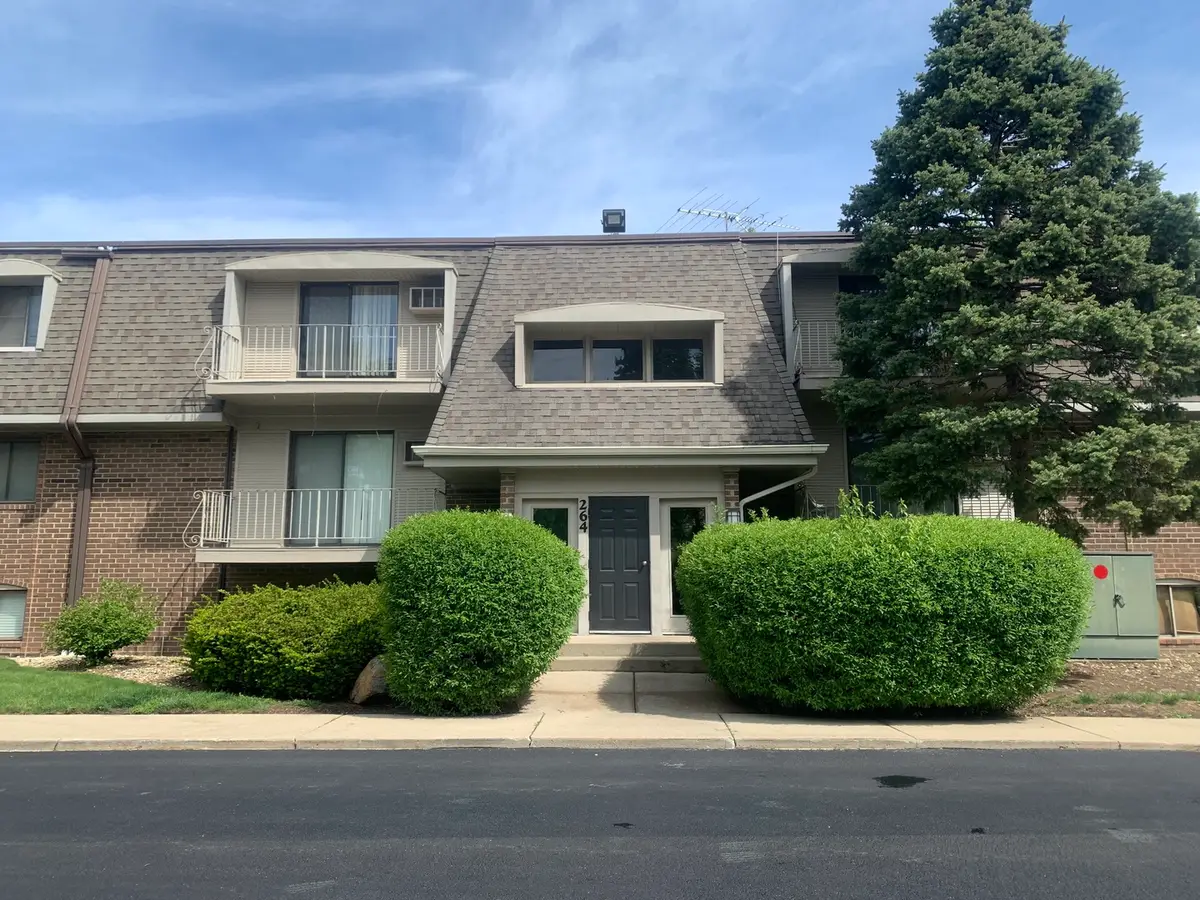 264 E Bailey Road #L, Naperville, IL 60565 - #1