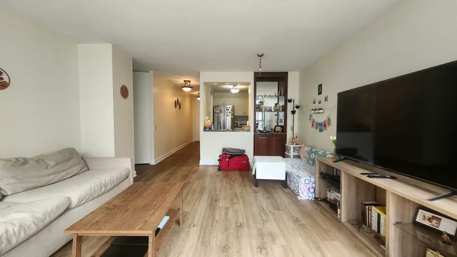 405 N Wabash Avenue #407, Chicago, IL 60611 - #3