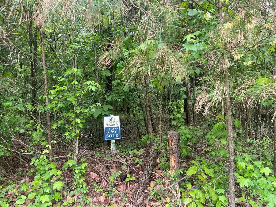 Lot 147 Parrish Ridge, Goreville, IL 62939 - #3