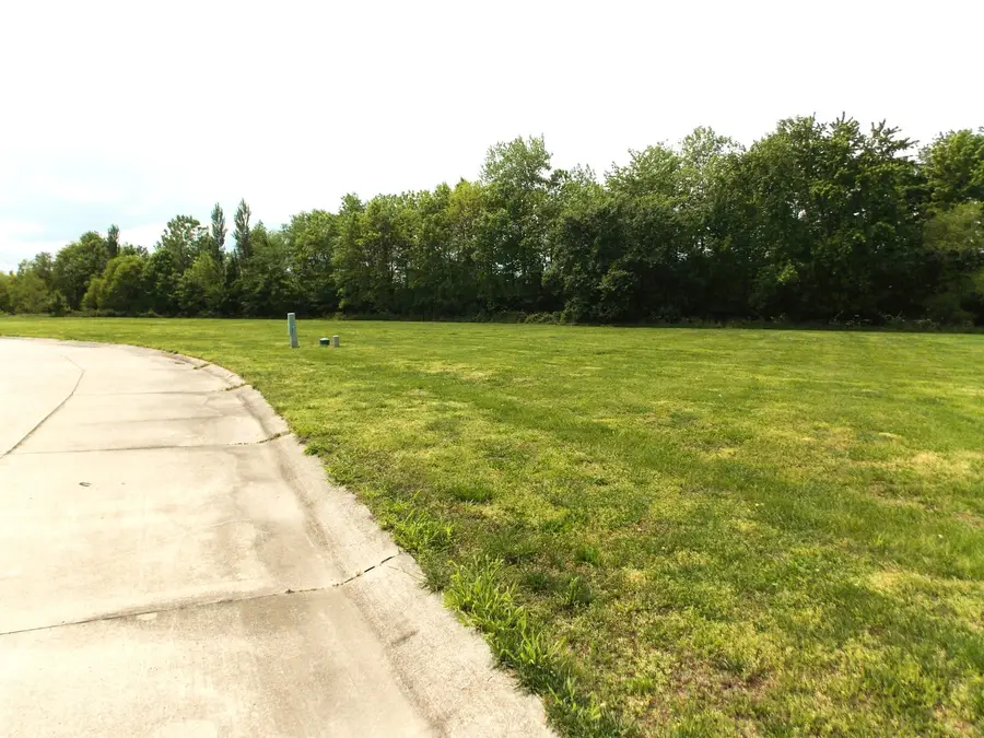 52 Pine Hurst Place, Centralia, IL 62801 - #3