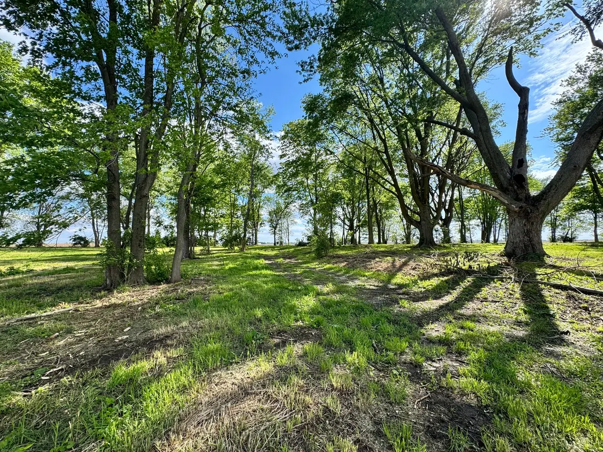 1971 County Road 1200 N, Sidney, IL 61877 - #1