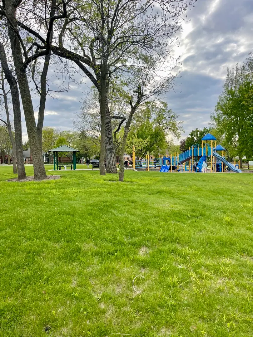110 Bent Creek Court, Palatine, IL 60067 - #2