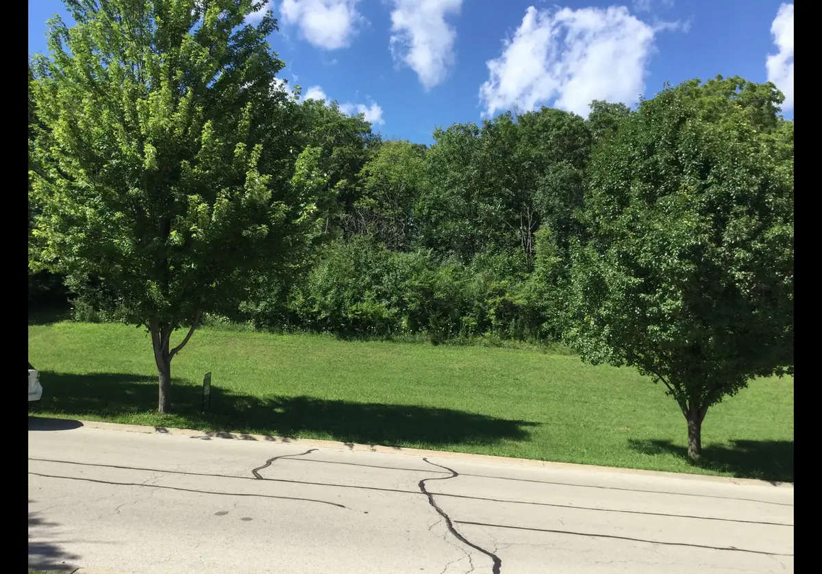 517 Rivers Edge Drive, Minooka, IL 60447 - #1