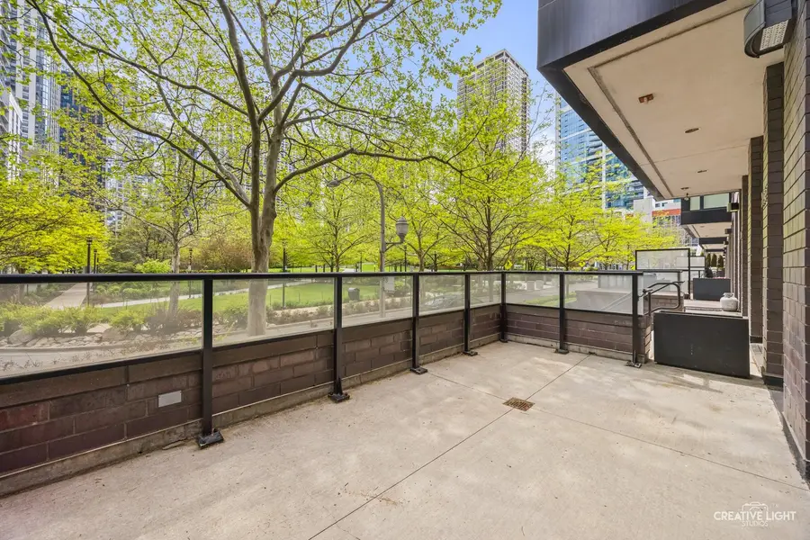 204 N Park Drive, Chicago, IL 60601 - #3