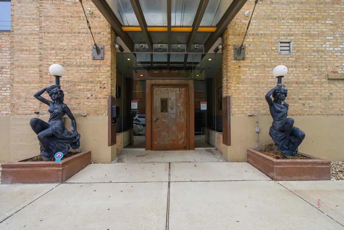 2545 S Dearborn Street #507, Chicago, IL 60616 - #1
