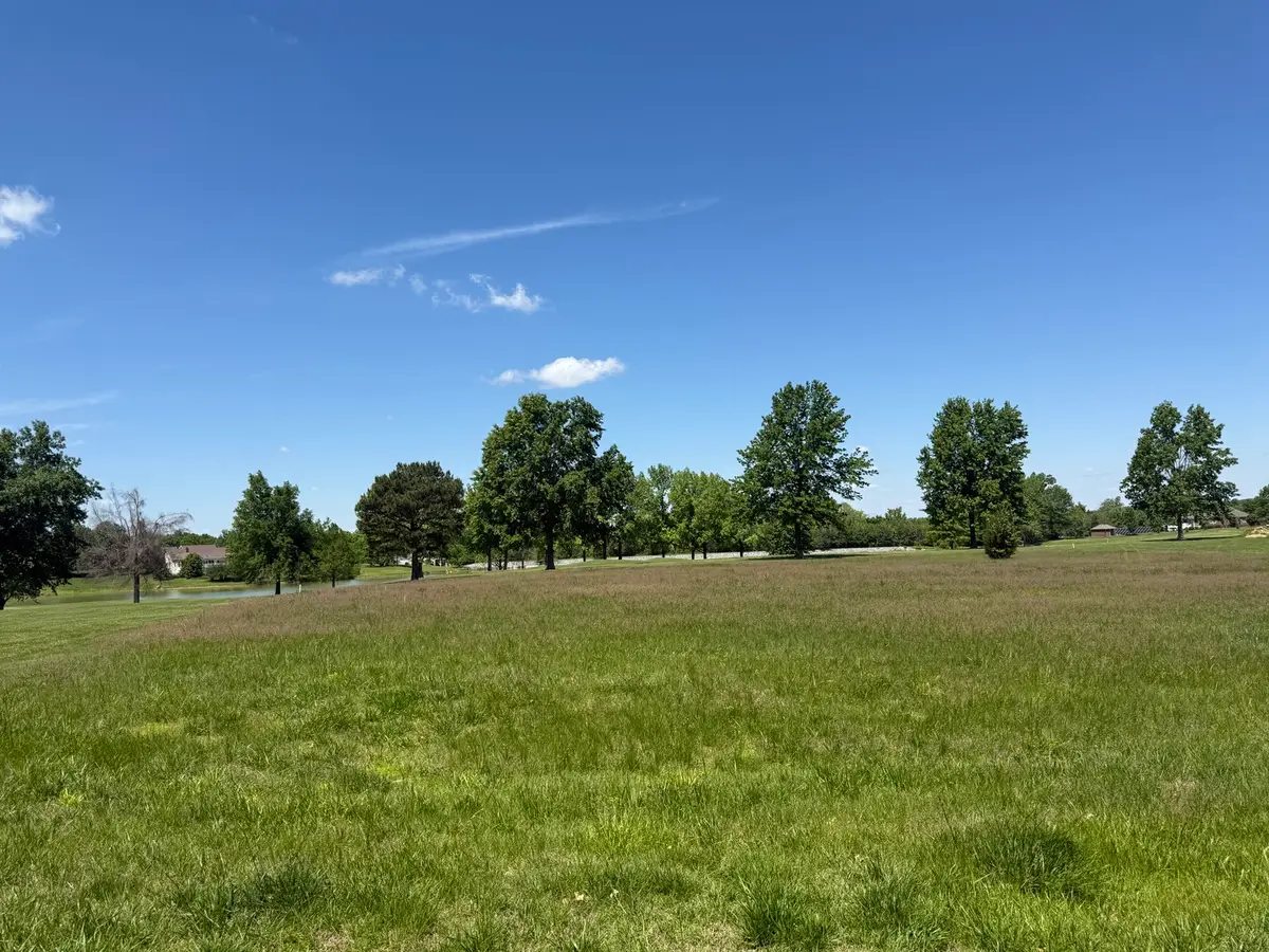 00 E Stone Creek Drive E, Makanda, IL 62958 - #1