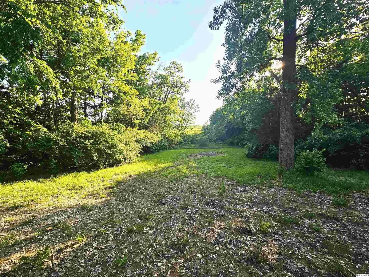 9606 Rock Quarry Road, Quincy, IL 62305 - #1