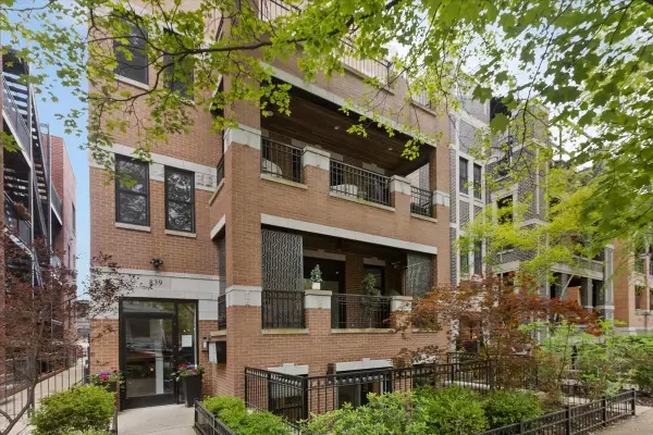 839 W Bradley Place #3, Chicago, IL 60613