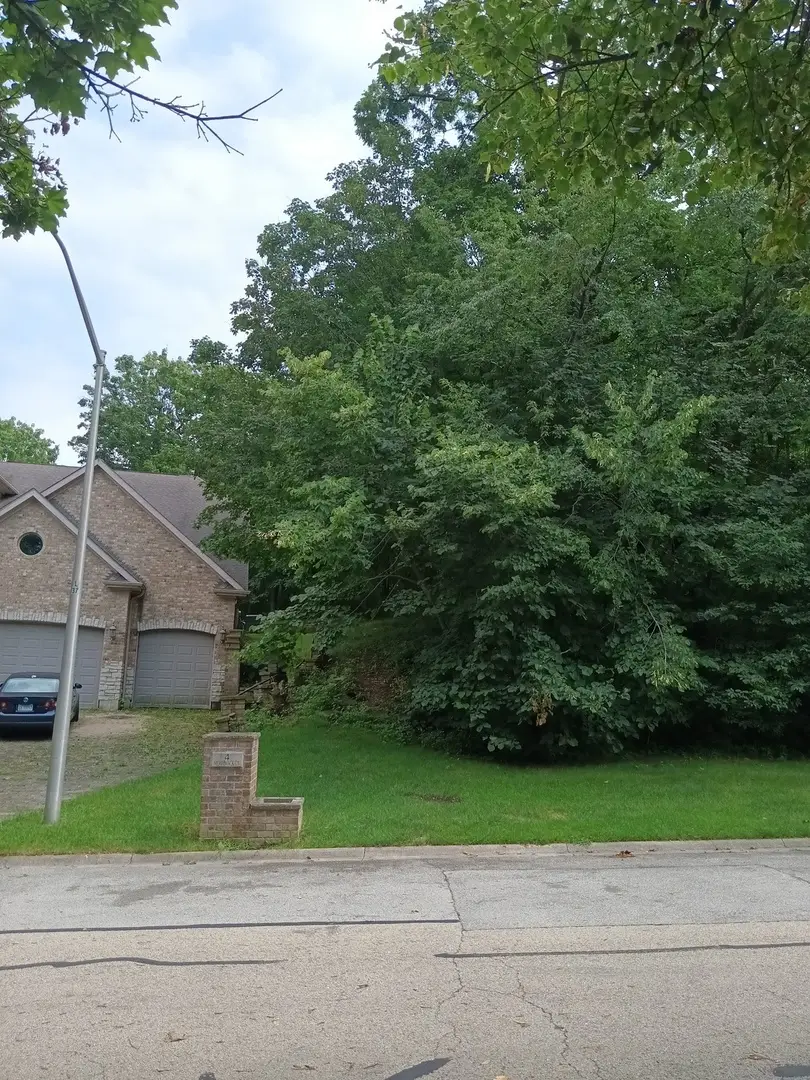 3 Merrimack Court, Bolingbrook, IL 60440 - #3