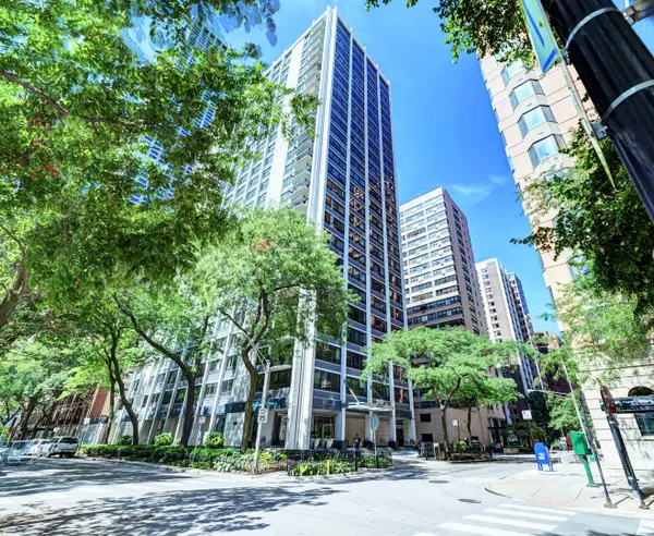 222 E Pearson Street #203, Chicago, IL 60611