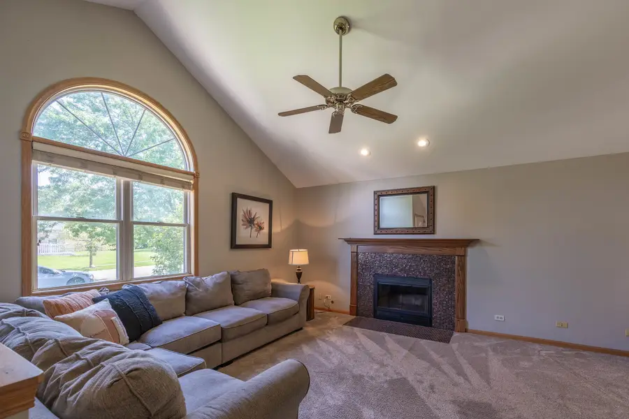 219 Wolverine Drive, Oswego, IL 60543 - #3