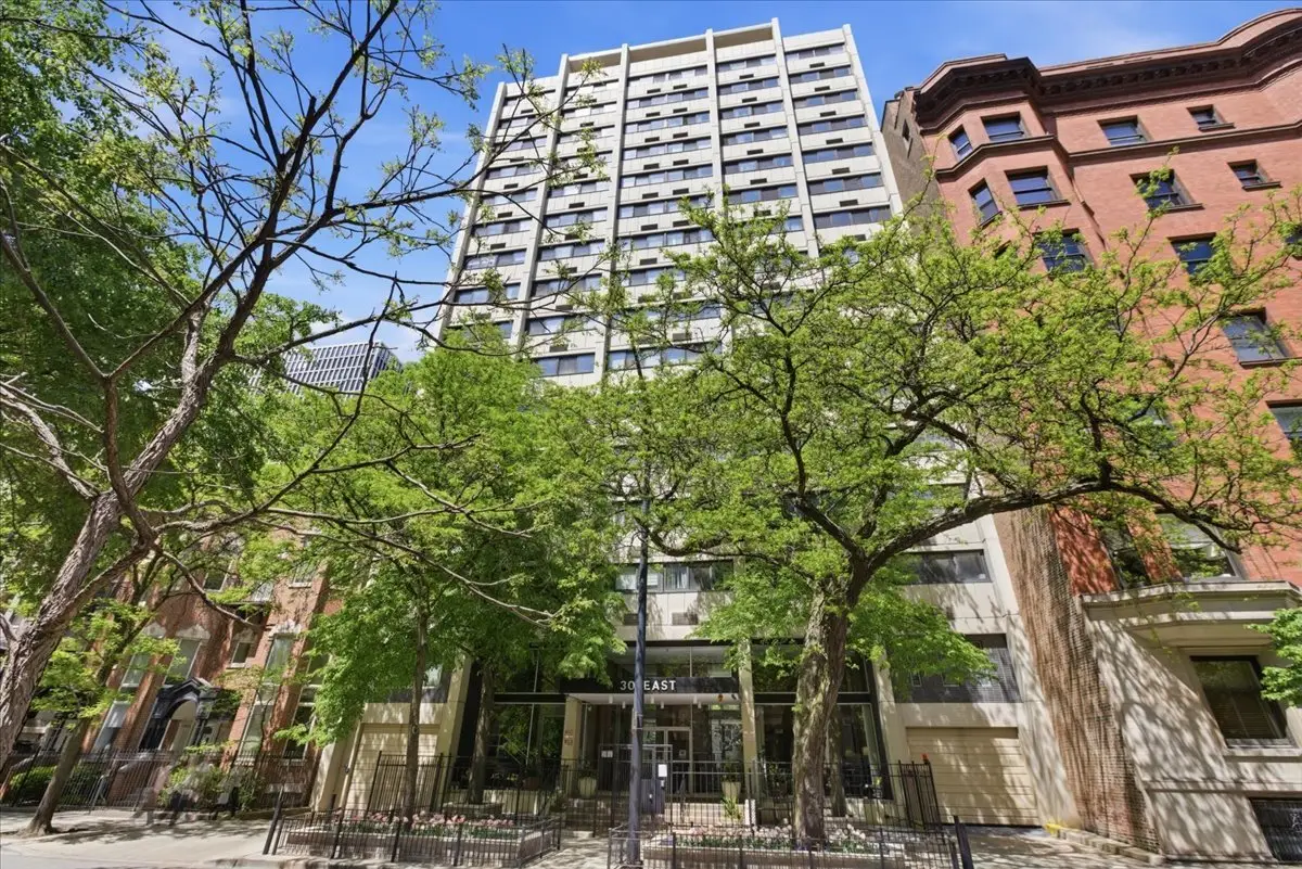 30 E Division Street #2A, Chicago, IL 60610 - #1