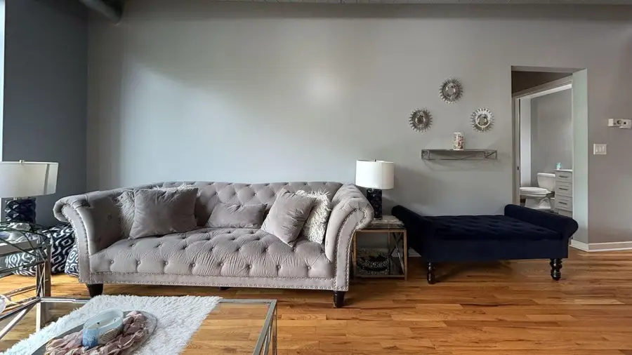 1069 W 14th Place #229, Chicago, IL 60608 - #3