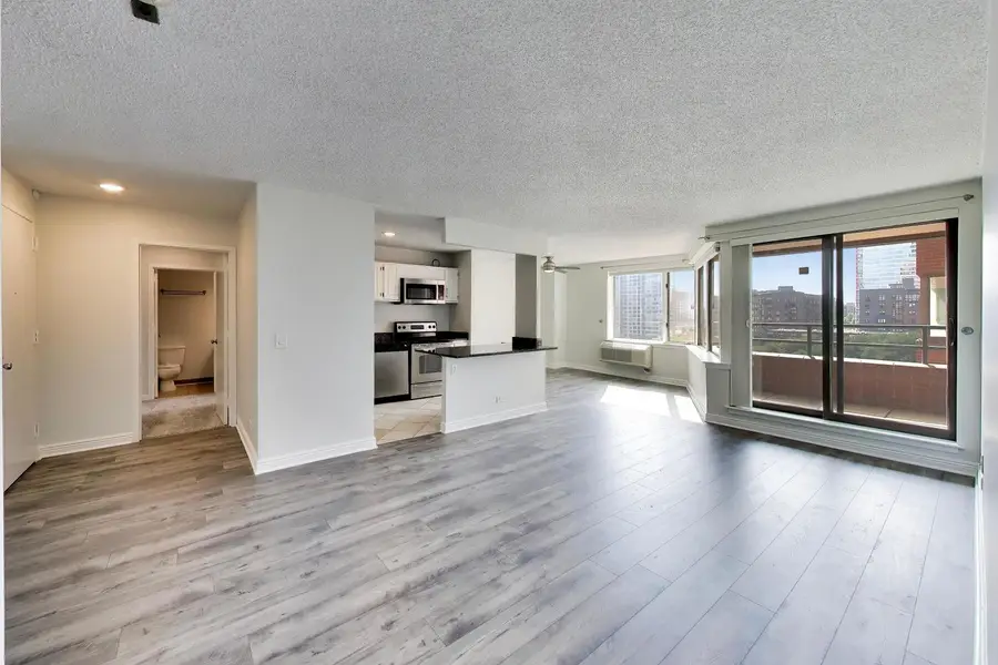 801 S Plymouth Court #1006, Chicago, IL 60605 - #2