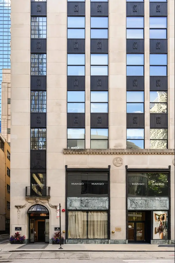 118 E Erie Street #20D, Chicago, IL 60611 - #1