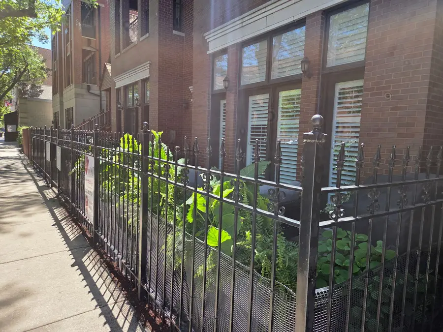 2946 N Sheffield Avenue #1N, Chicago, IL 60657 - #2