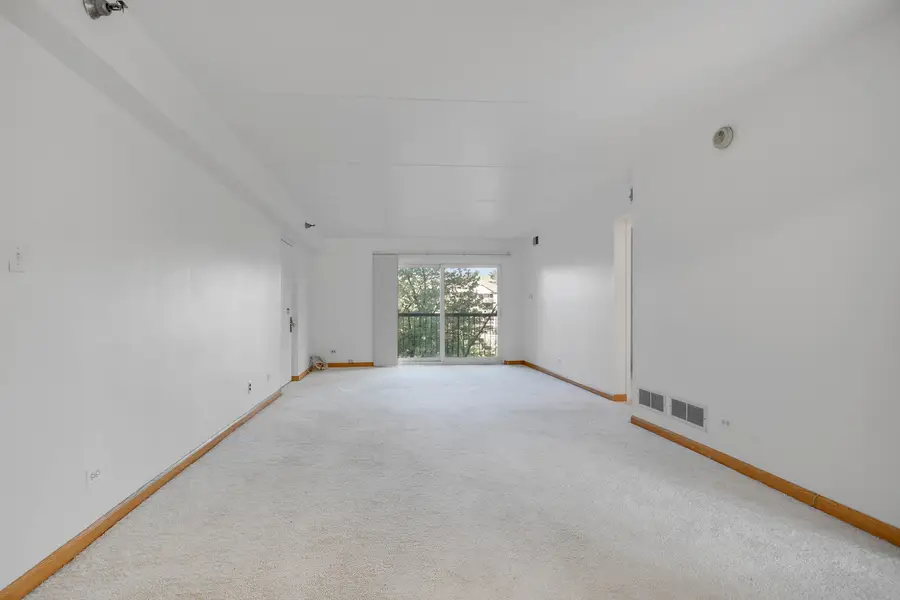 5960 Lake Bluff Drive #302, Tinley Park, IL 60477 - #3