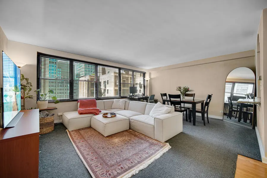 850 N Dewitt Place #17H, Chicago, IL 60611 - #3