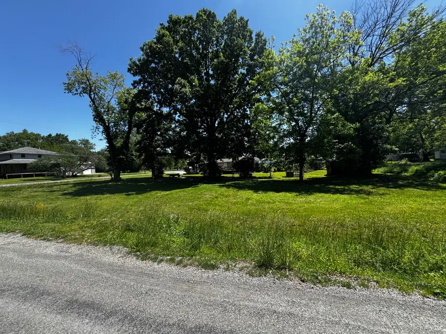 501 E Roosevelt Avenue, Du Quoin, IL 62832 - #2