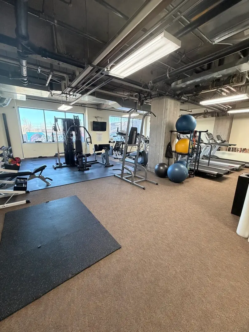 1550 S Blue Island Avenue #1107, Chicago, IL 60608 - #3