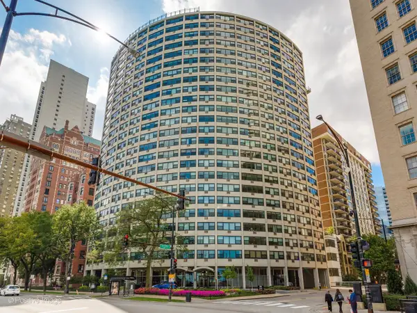 1150 N Lake Shore Drive #13L, Chicago, IL 60611