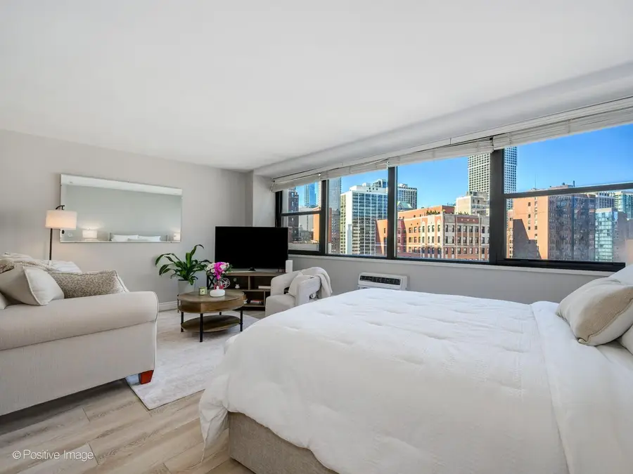 1150 N Lake Shore Drive #13L, Chicago, IL 60611 - #3