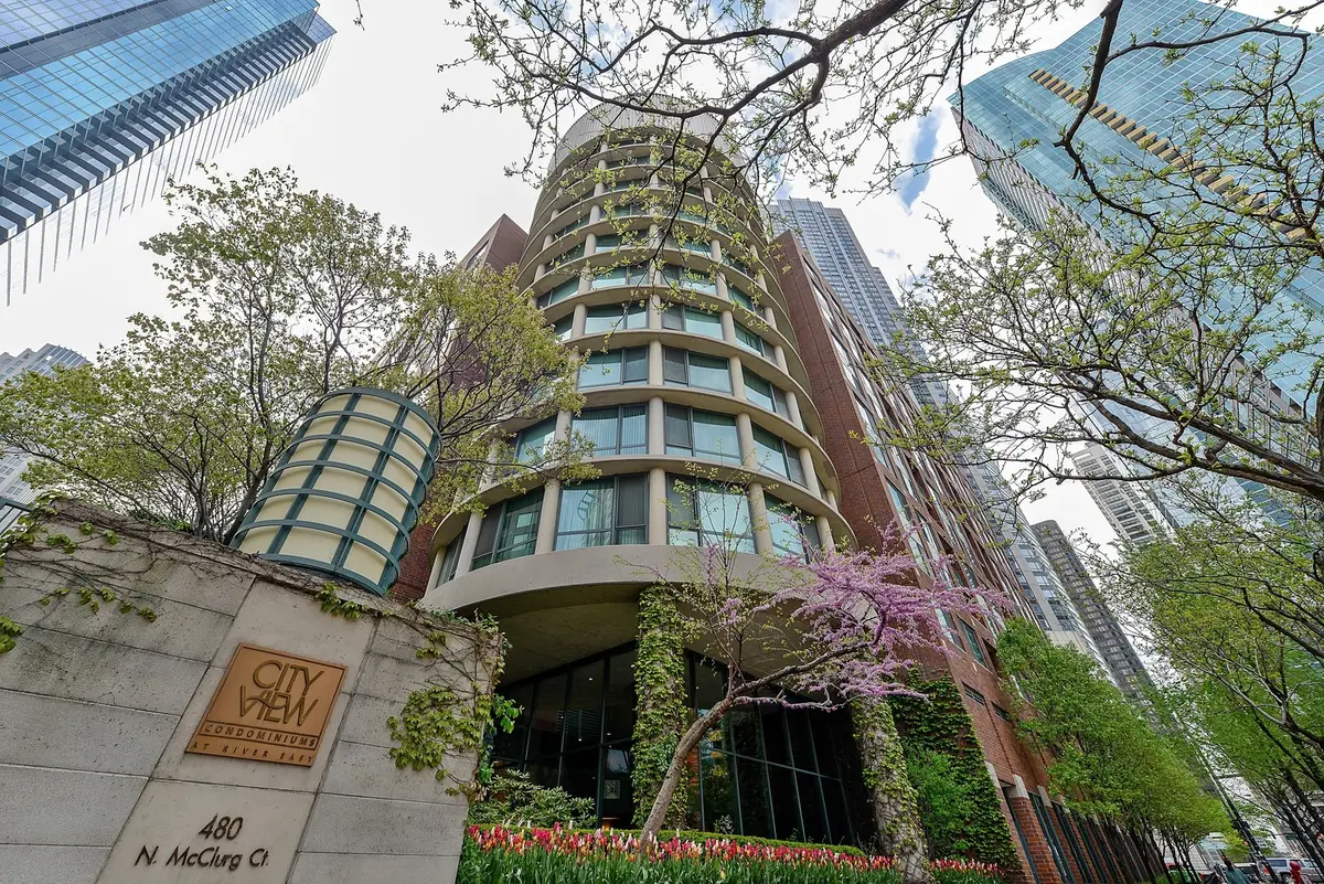 480 N Mcclurg Court #P-286, Chicago, IL 60611 - #1