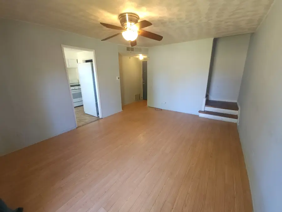 257 W Swann Street, Chicago, IL 60609 - #3