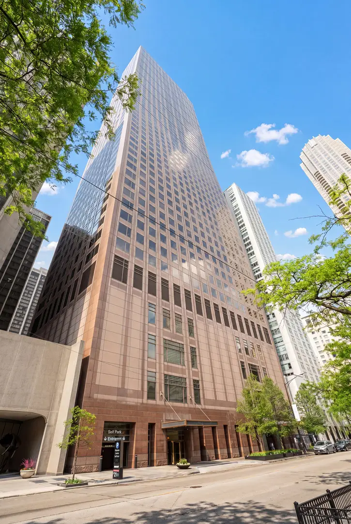 161 E Chicago Avenue #33B, Chicago, IL 60611 - #1